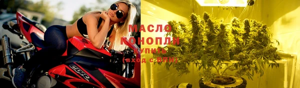 шишки Дмитров
