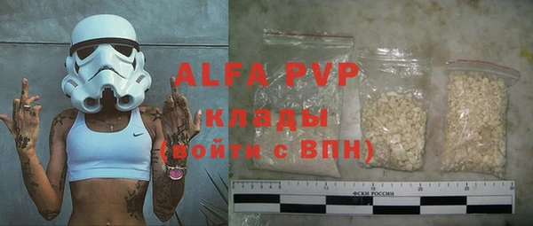 шишки Дмитров