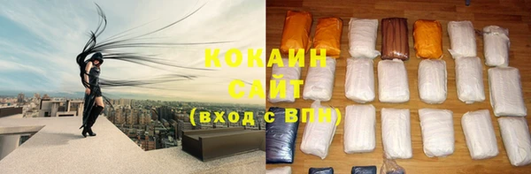 шишки Дмитров