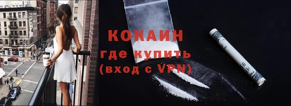 шишки Дмитров