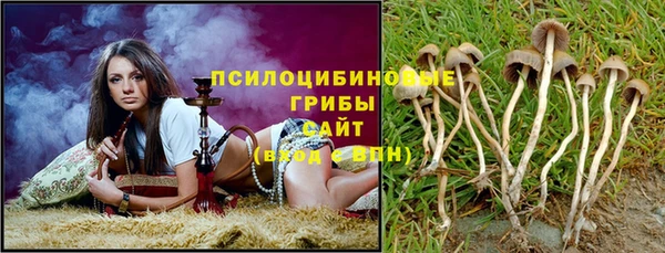 шишки Дмитров