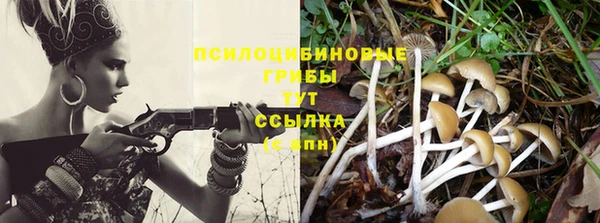 герыч Дмитровск