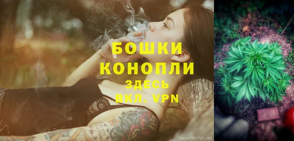 шишки Дмитров