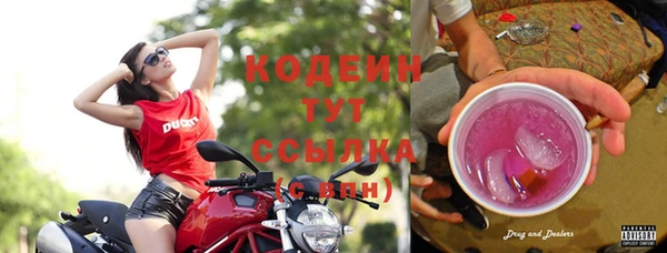 шишки Дмитров