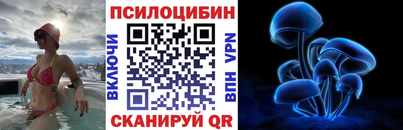 Купить где  Камызяк  Галлюциногенные грибы Magic Shrooms 