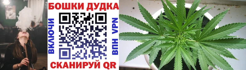 Купить  Камызяк  Конопля Ganja 